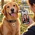 Illustrative FP001-2 pet QR contact tag on a dog collar for finder-to-owner browser calling